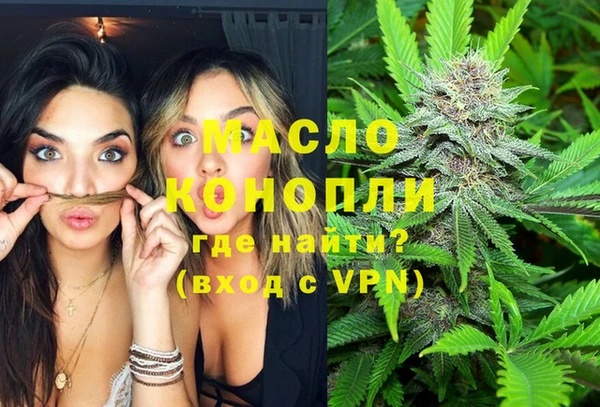 молекула духа Балахна